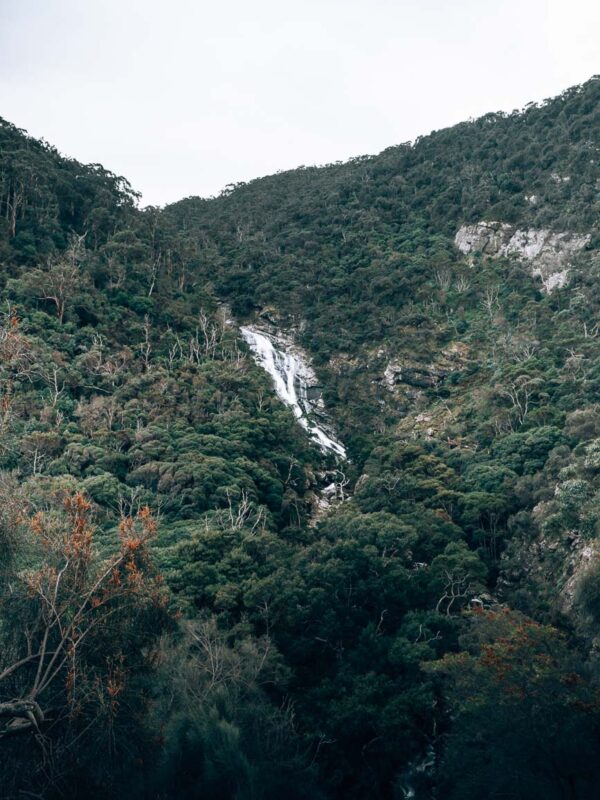 Carisbrook Falls- Great Otway NP7- BLOGPOST