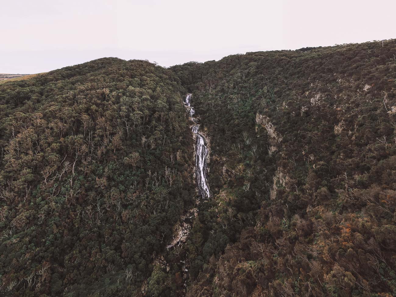 Carisbrook Falls