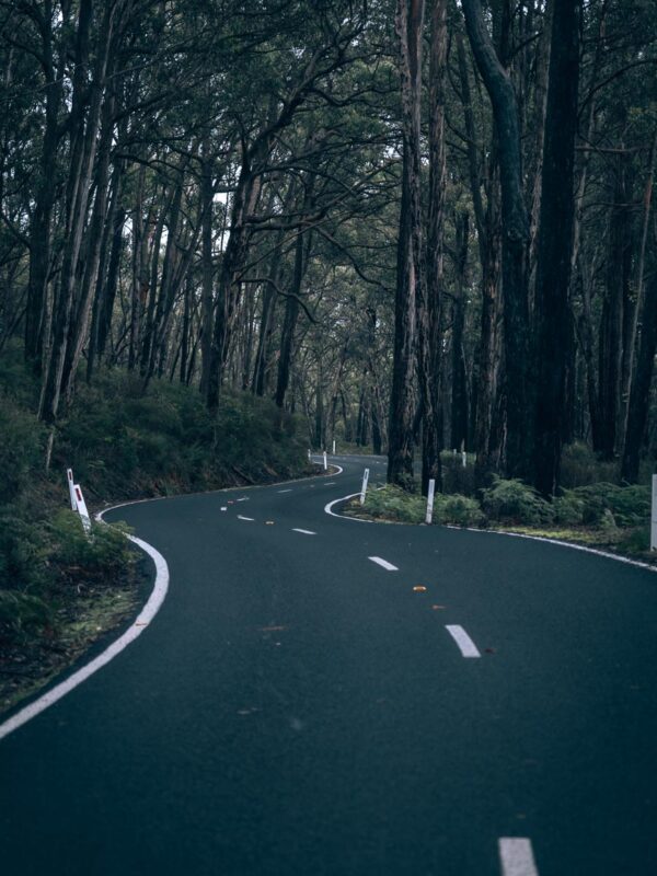 Grampians Road2- BLOGPOST