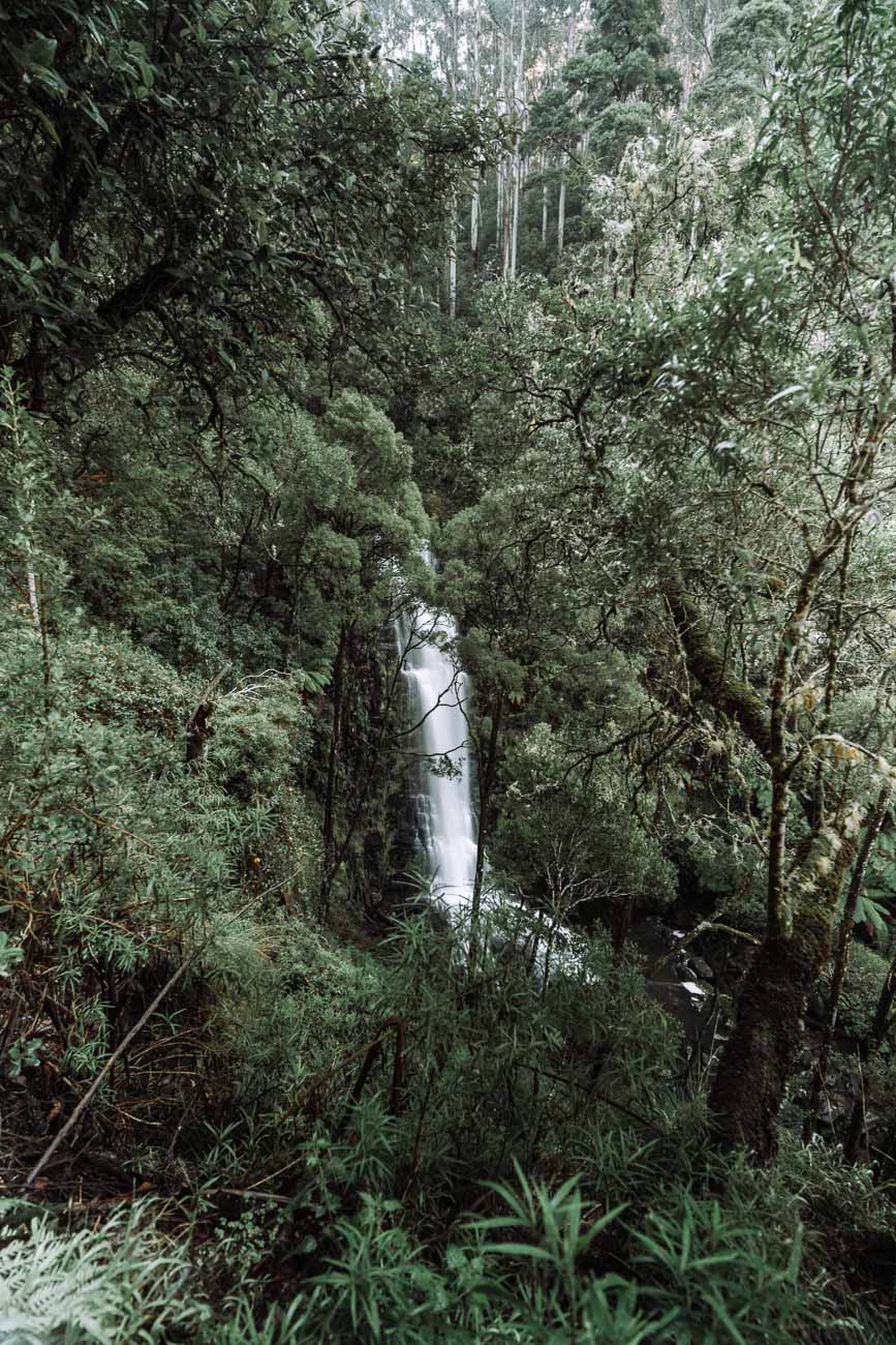 Great Otway NP - Erskin Falls1- BLOGPOST