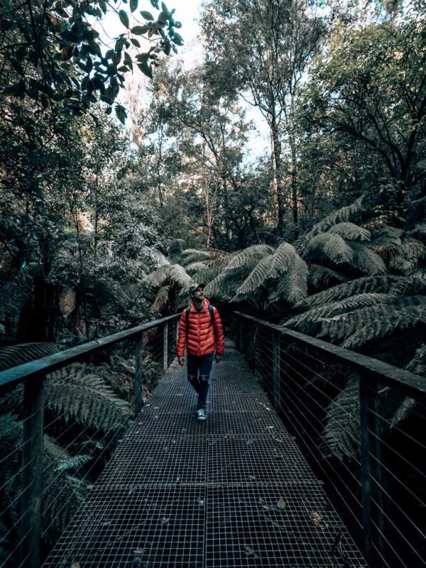 Henderson Falls Bridge - Mik Shoot96- BLOGPOST