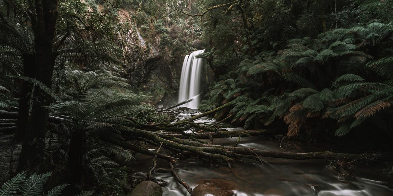 best waterfalls in the Great Otway National Park - Hopetoun Falls26- BLOGPOST