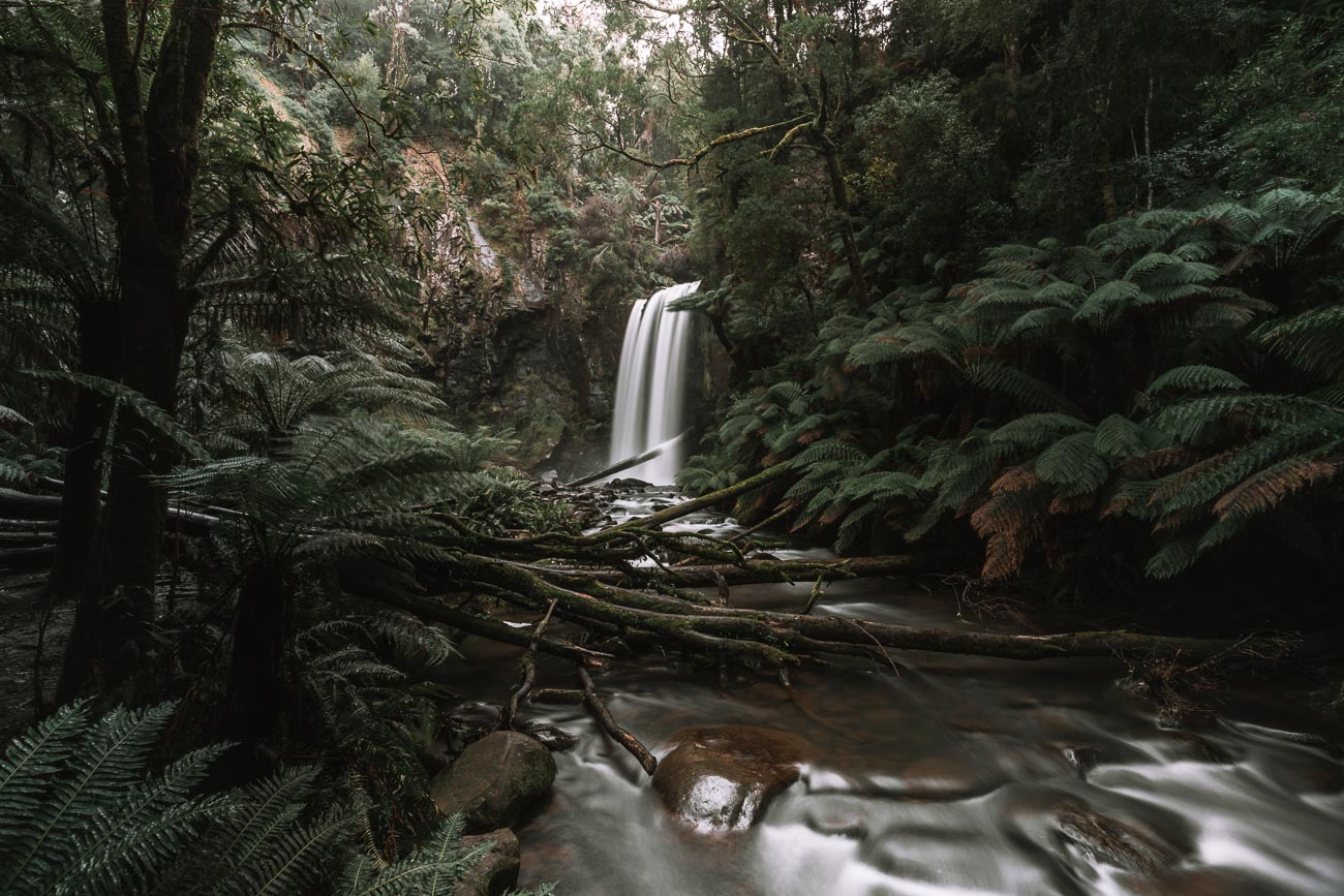 best waterfalls in the Great Otway National Park - Hopetoun Falls26- BLOGPOST