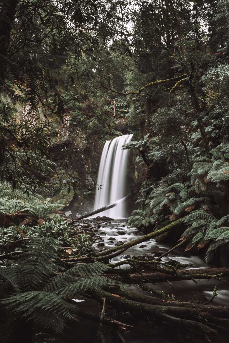 Great Otway NP- Hopetoun Falls7- BLOGPOST