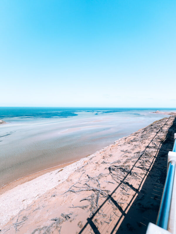 Shark Bay - Eagle Bluff Lookout24- BLOGPOST