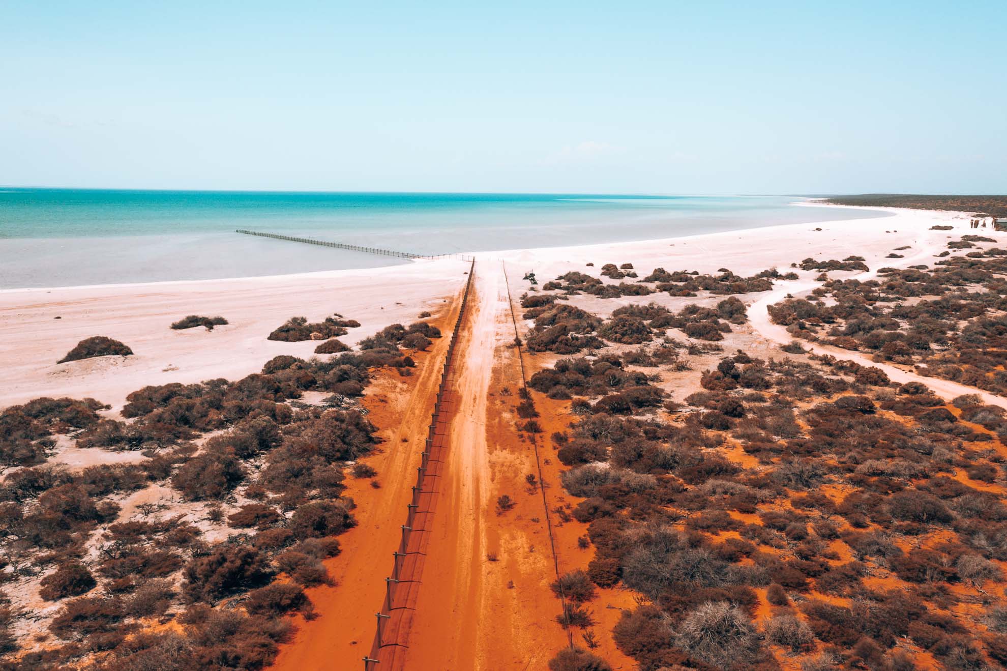 10 amazing things to do in Shark Bay, Western Australia