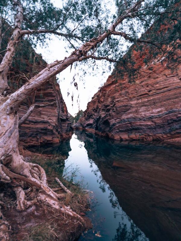 Karijini NP - Hamersley Gorge238- BLOGPOST