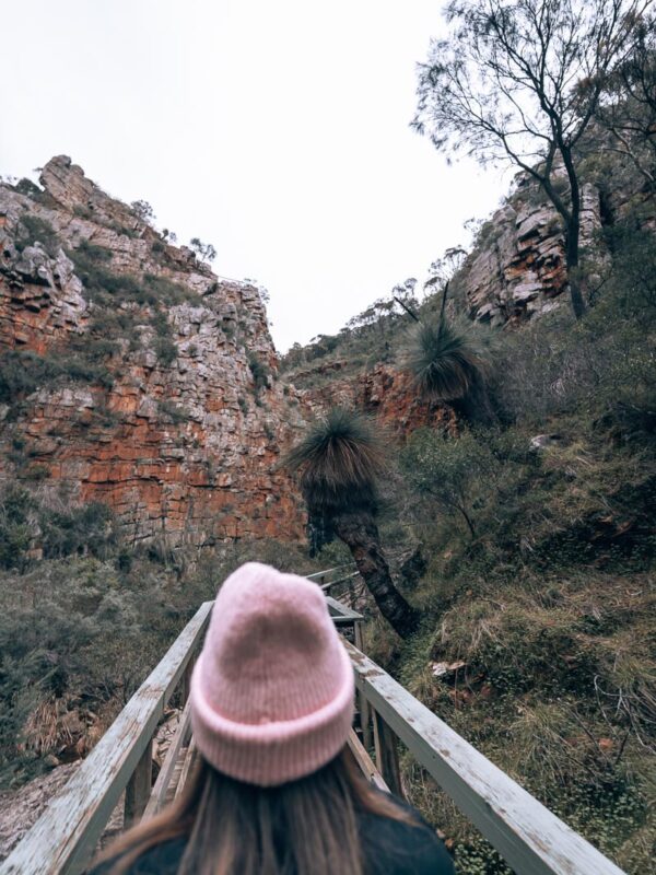 Adelaide - Morialta Conservation Park & First Falls16- BLOGPOST