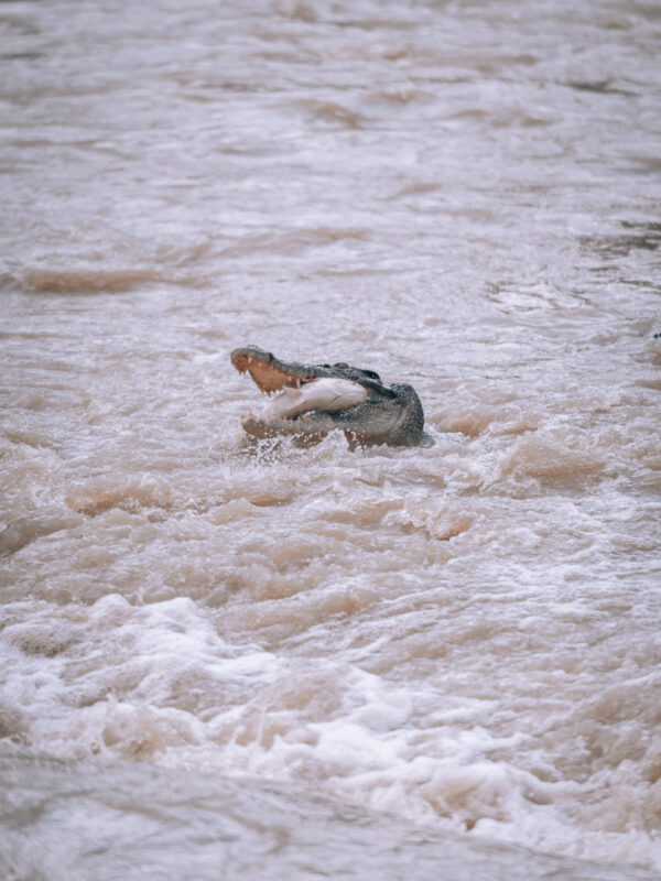 Kakadu NP - Cahills Crossing morning14- BLOGPOST