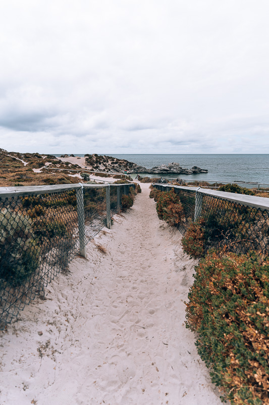 Rottnest Island - Fays Beach2- BLOGPOST