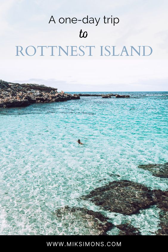 The perfect one-day trip to Rottnest Island1
