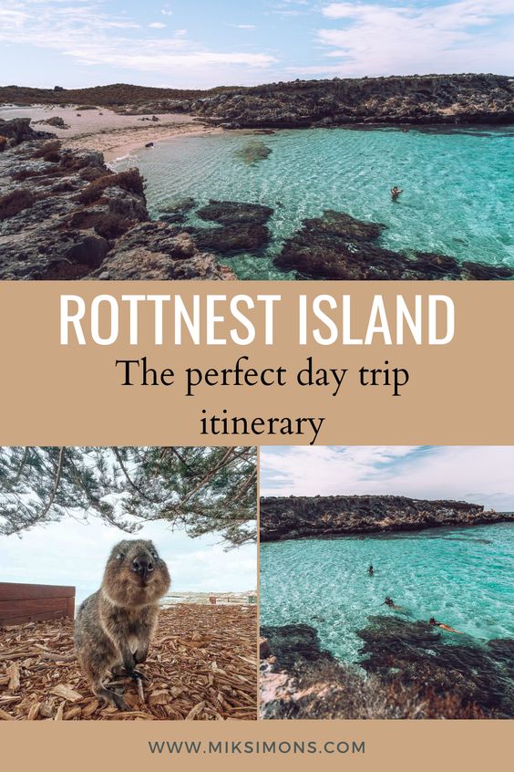 The perfect one-day trip to Rottnest Island2