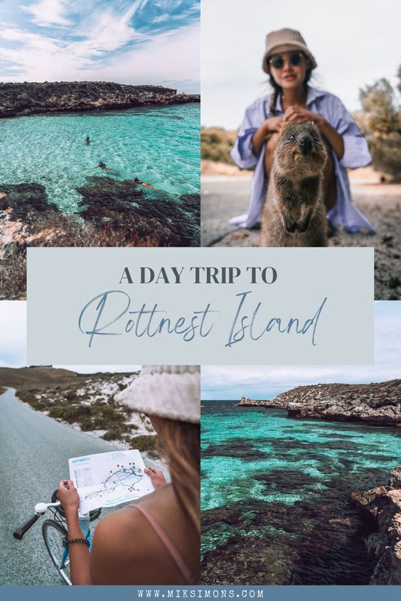 The perfect one-day trip to Rottnest Island3