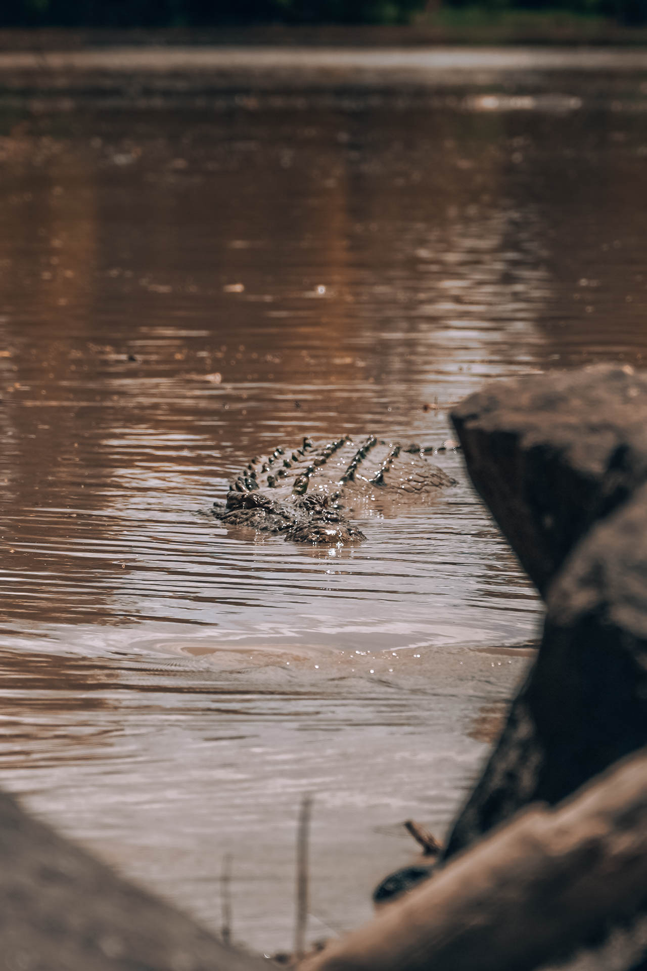 Cahills Crossing - Kakadu NP103- BLOGPOST HQ