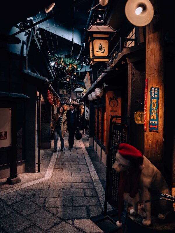 HOZENJI YOKOCHO ALLEY