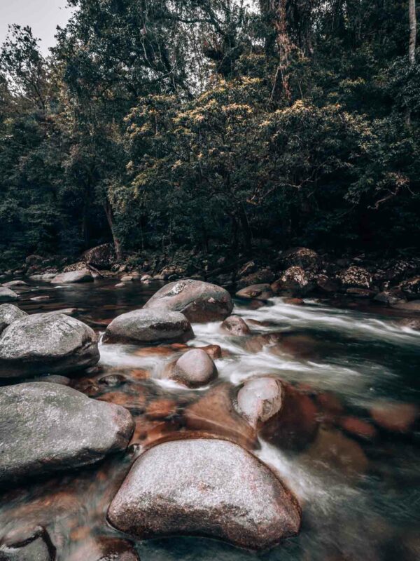 Daintree NP - Mosman Gorge shoot97- BLOGPOST HQ