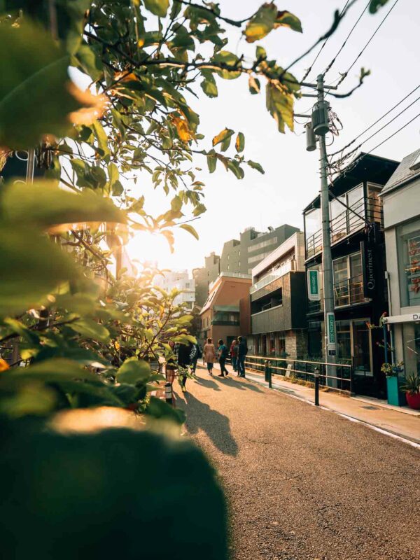 Harajuku - Cat Street