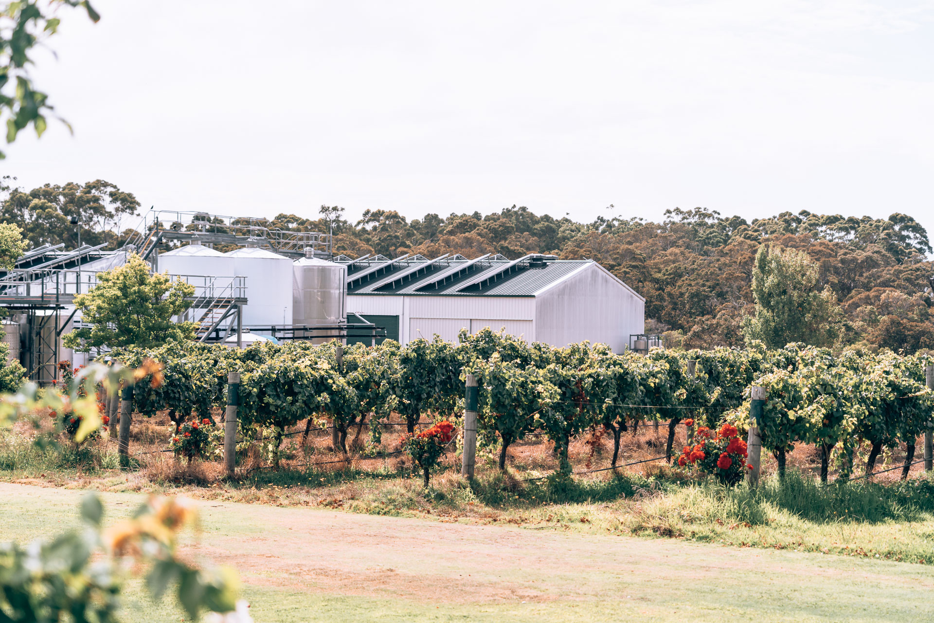 Margaret River - Voyageur Estate24- BLOGPOST HQ