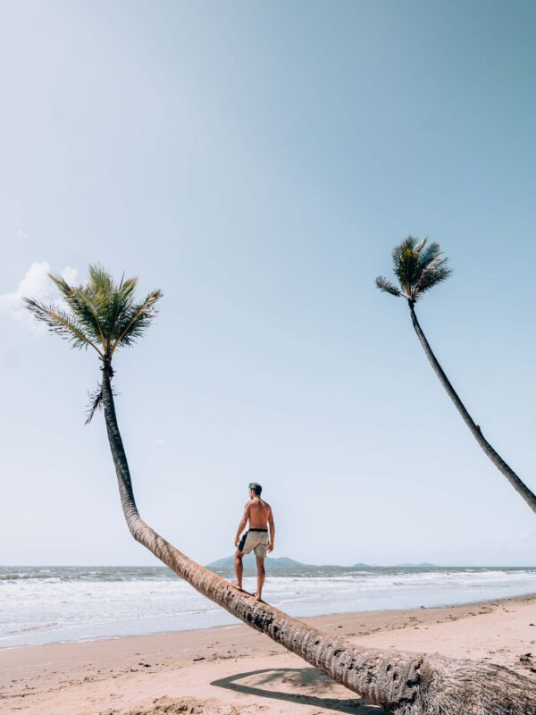 Mission Beach - Hanging Palmtree4- BLOGPOST HQ