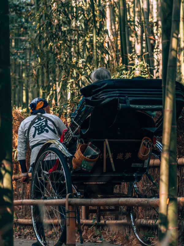 Kyoto - Bamboo Forest4