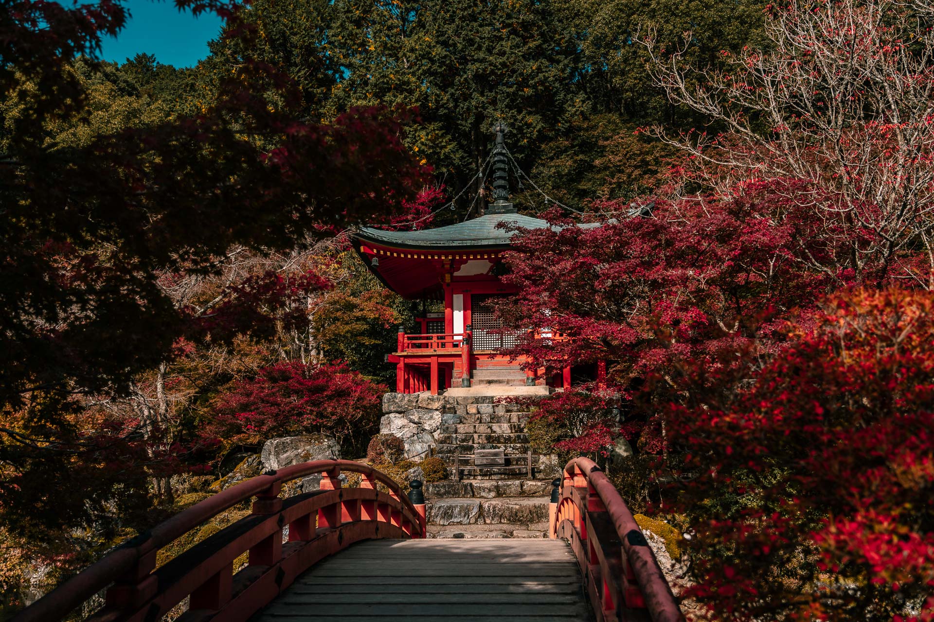 Best time to visit Kyoto