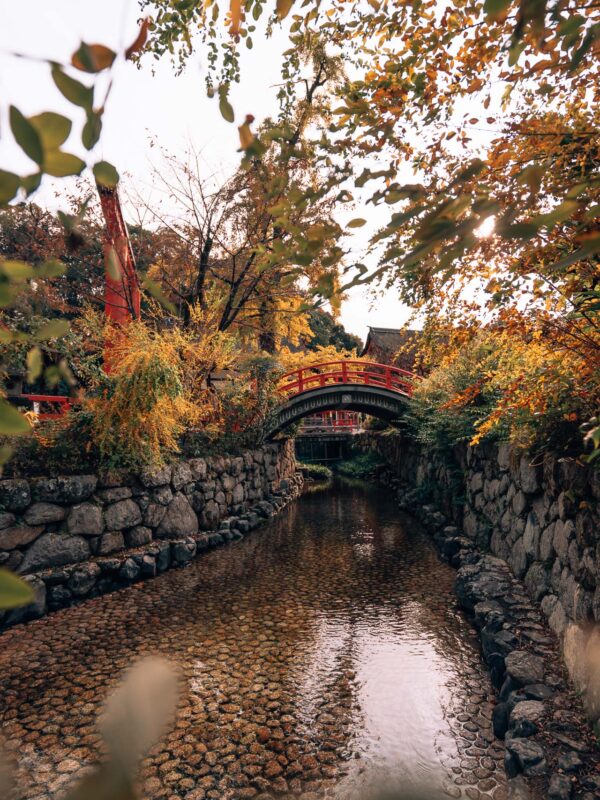 Kyoto - Shimogamo Shrine