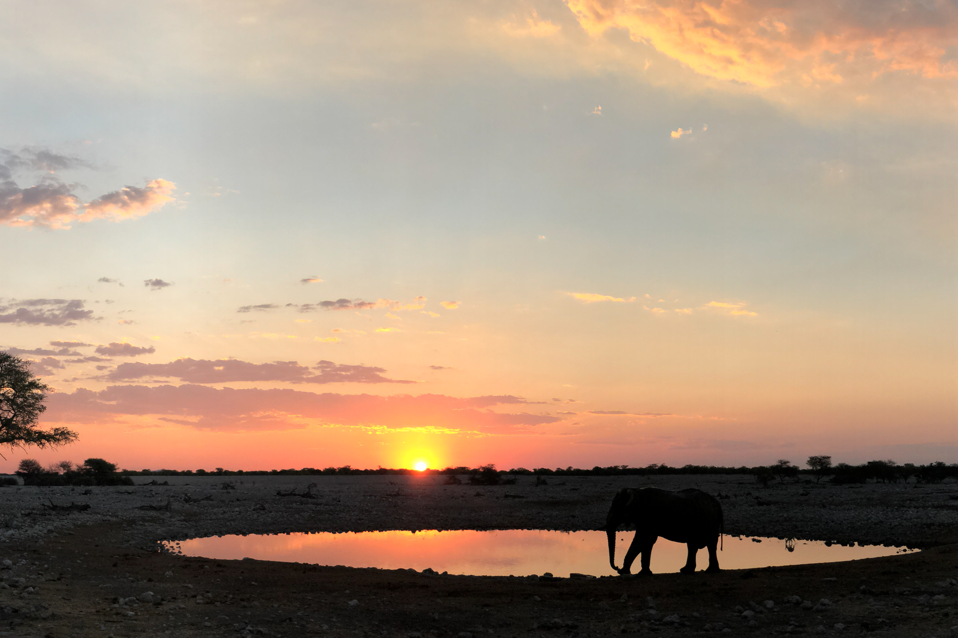 NAMIBIA BLOGPOST - Okaukuejo Waterhole