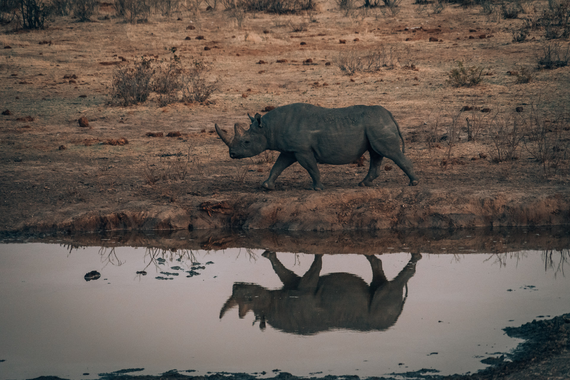 Olifantsrus Camp - Etosha National Park