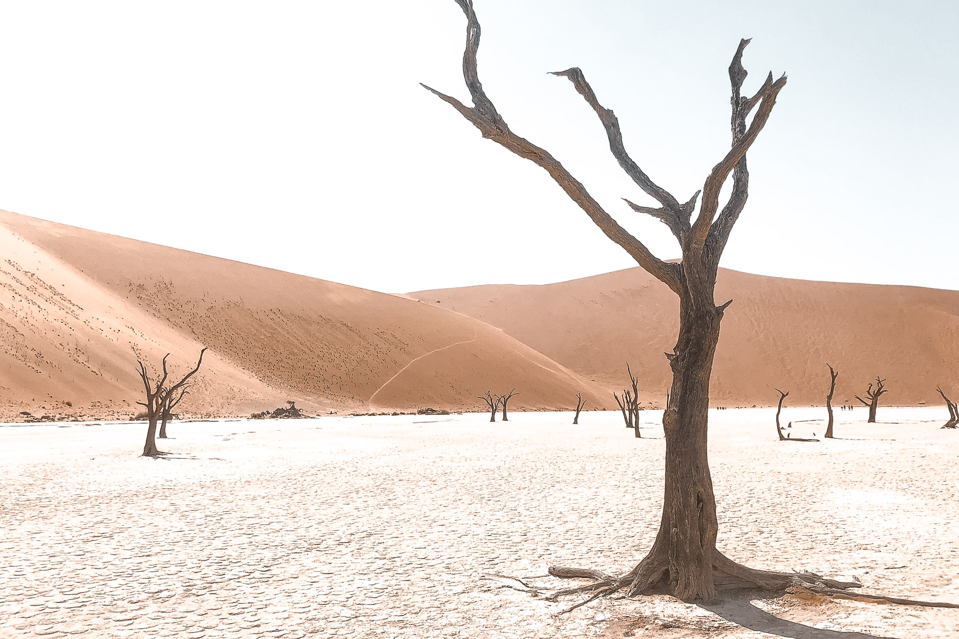 Sossusvlei in Namibia