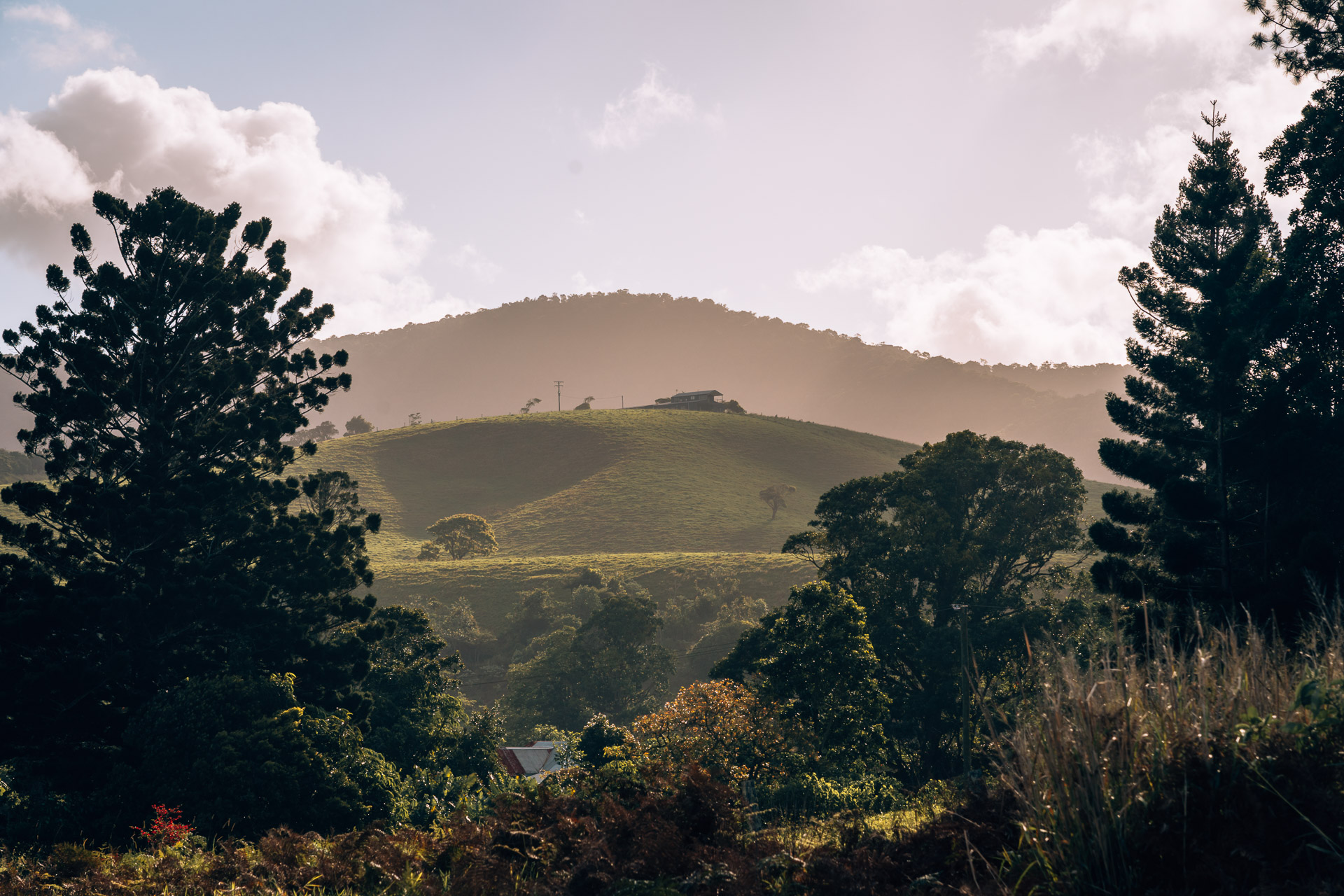 Atherton Tablelands scenery2- BLOGPOST HQ