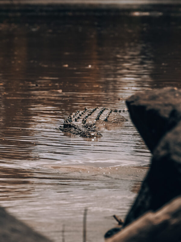 Cahills Crossing - Kakadu NP103- BLOGPOST HQ