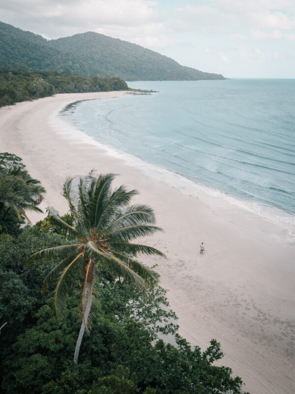 Cape Tribulation - Daintree NP20- BLOGPOST HQ-2