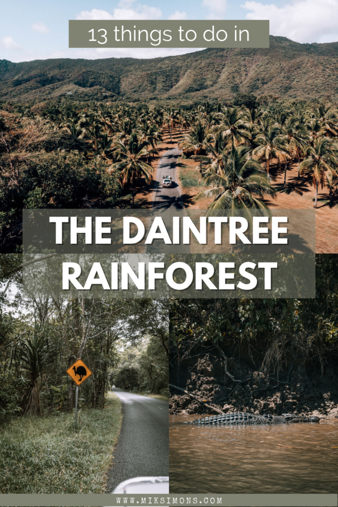 Daintree Rainforest: 13 awesome things to do from Cairns to Cape ...