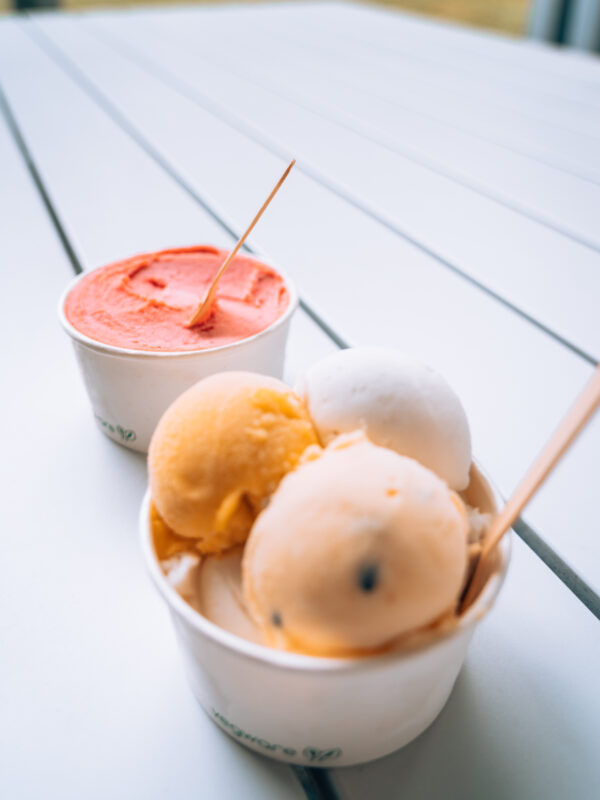 Daintree NP - Daintree Ice Cream Company1- BLOGPOST HQ