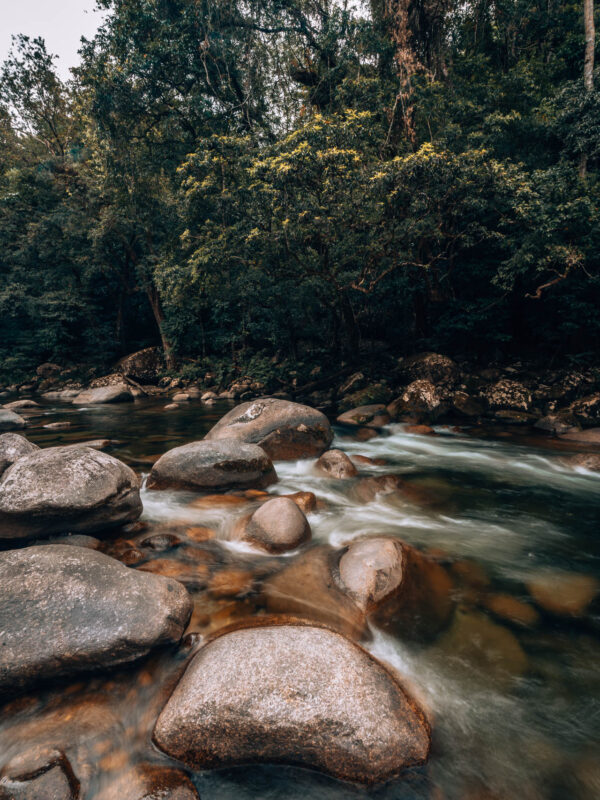 Daintree NP - Mosman Gorge shoot97- BLOGPOST HQ