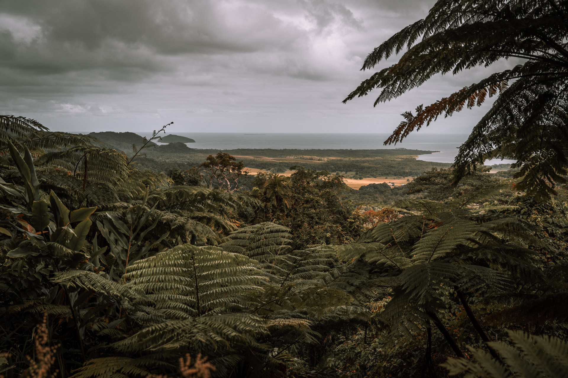 Daintree NP - Mount Alexandra Lookout4- BLOGPOST HQ