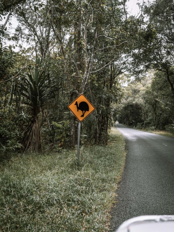 Daintree NP - road & signs2- BLOGPOST HQ