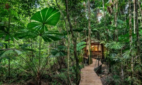 Daintree Wilderness Lodge