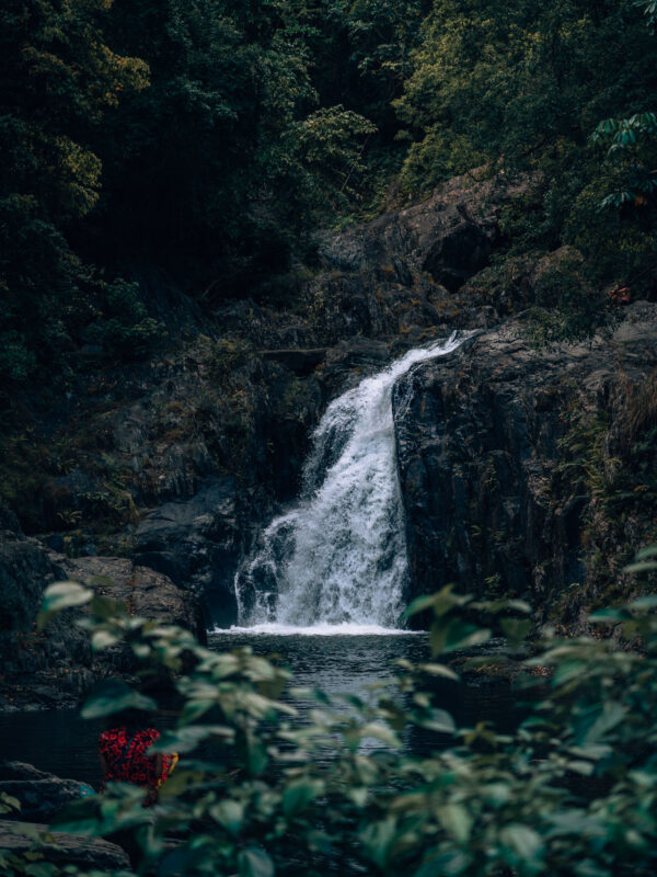 Mosman Gorge Falls - Daintree NP4- BLOGPOST HQ