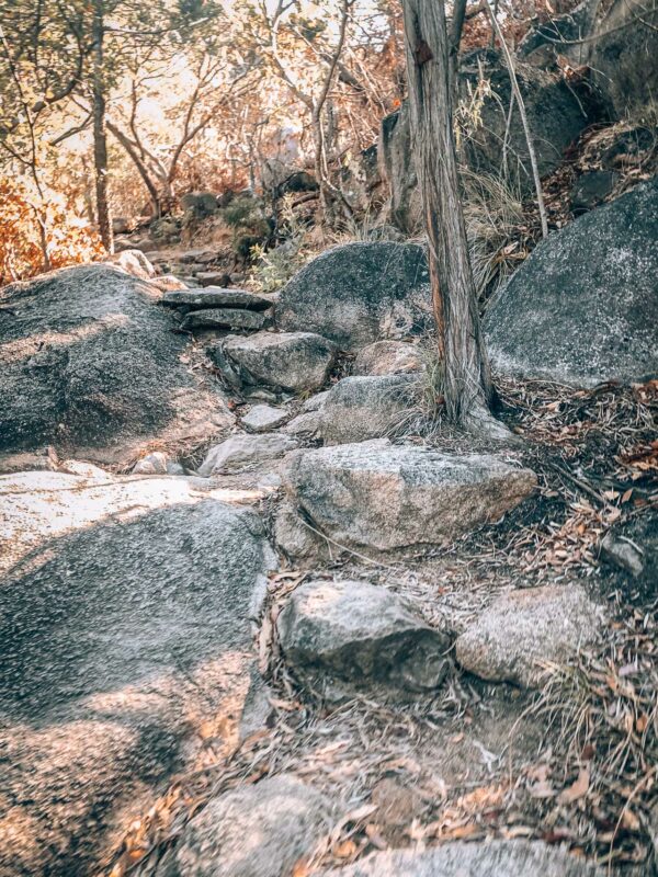 Path to Balding Bay - BLOGPOST HQ