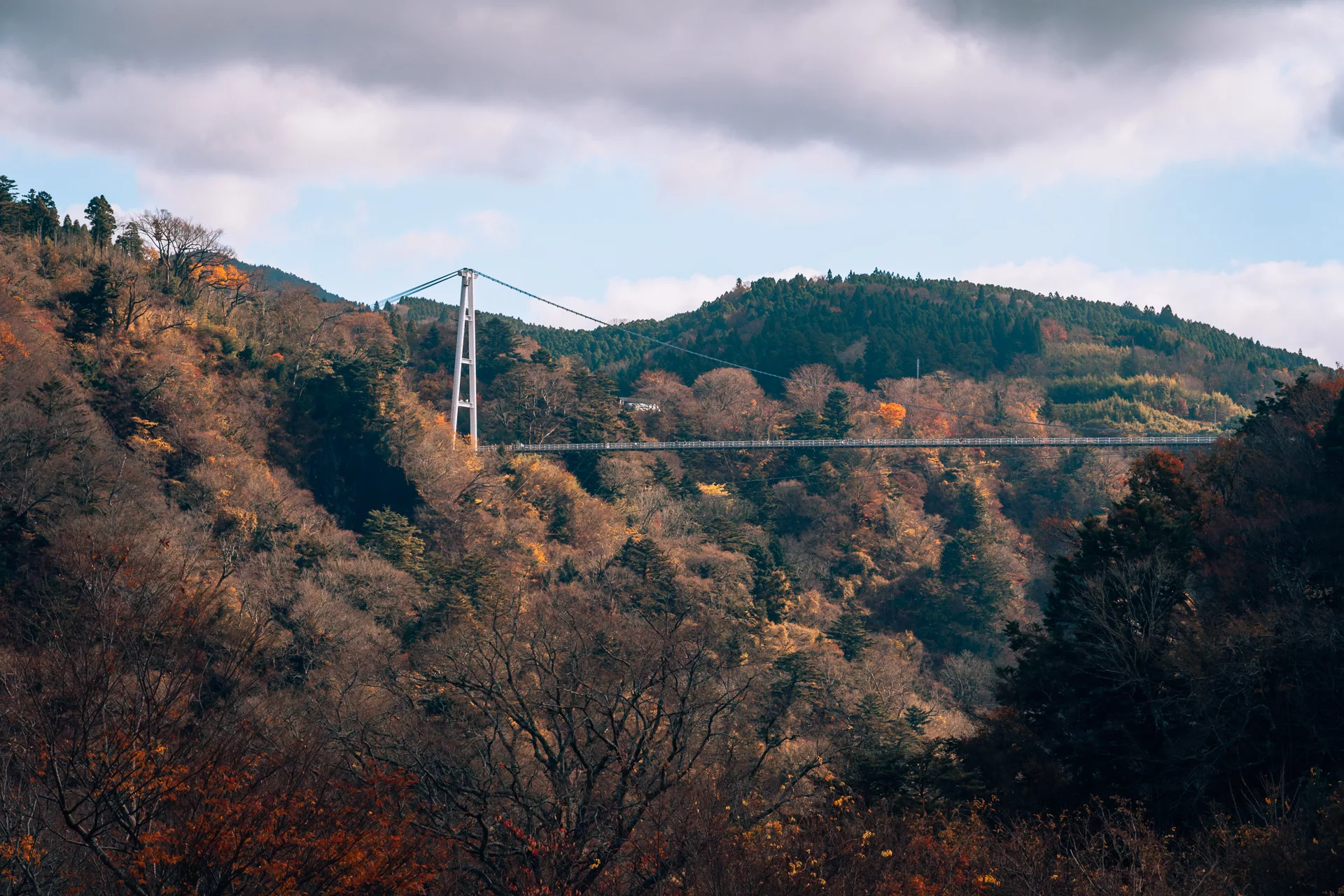 The perfect 4 days in Kyushu: a road trip during autumn in Japan