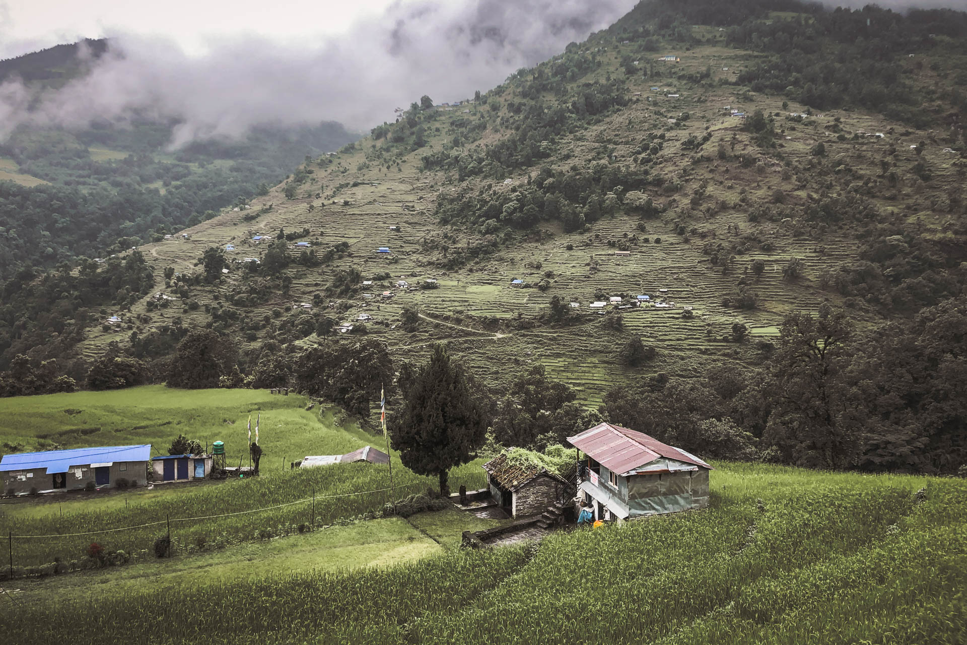 Poon Hill Trek in Nepal