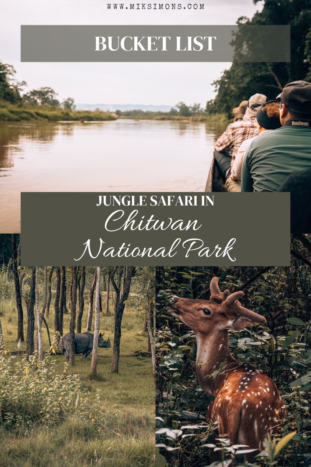 A jungle safari in Chitwan National Park - 6 awesome reasons to add this to your bucket list