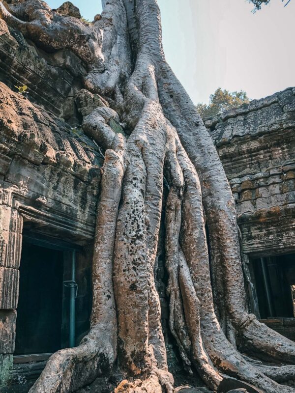 Cambodia - Siem Reap - Angkor Wat1