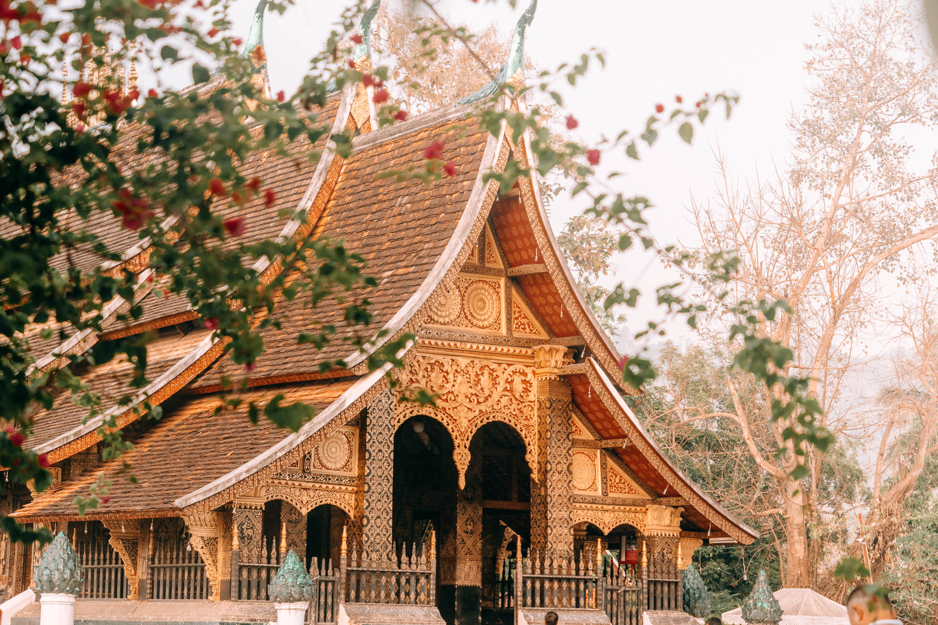 Laos - Luang Prabang5