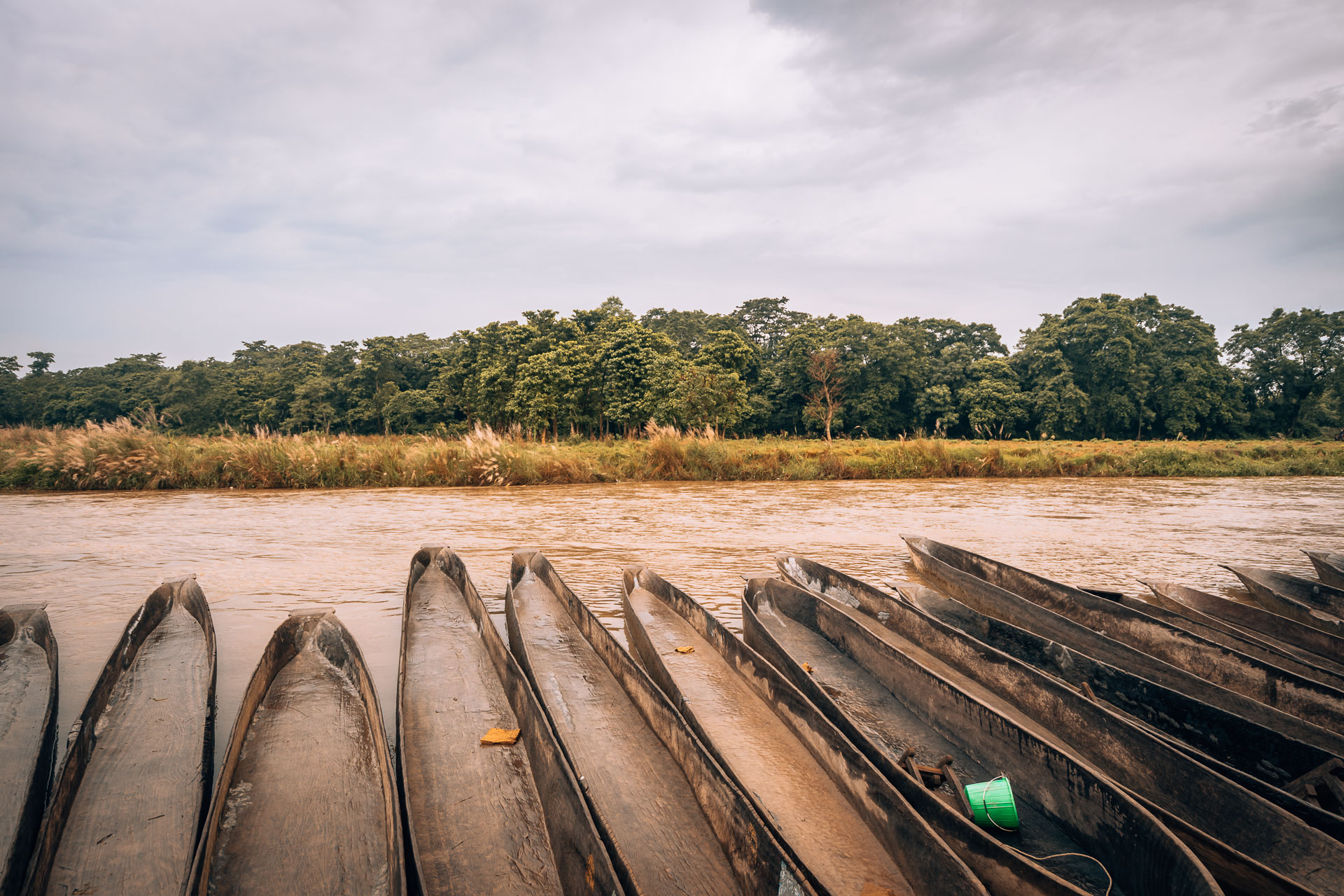 Nepal - Chitwan - Chitwan National Park19- BLOGPOST HQ