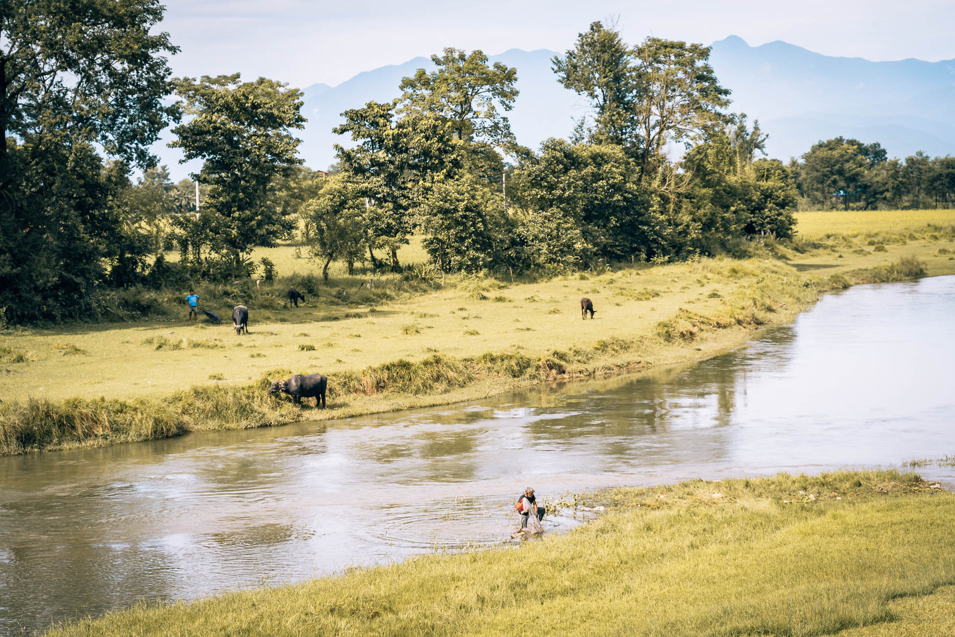 Nepal - Chitwan - Chitwan National Park37- BLOGPOST HQ