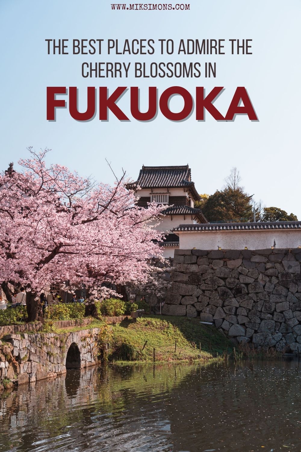 9 x the best places to see cherry blossoms in Fukuoka2