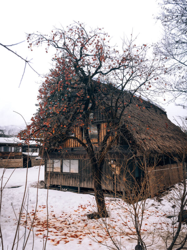 Chubu - Shirakawago242- BLOGPOST HQ