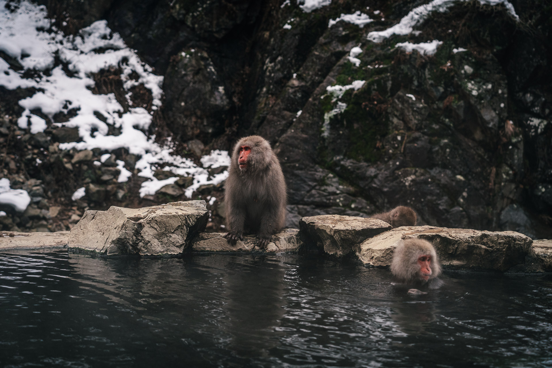 Chubu - Snow Monkey Park431- BLOGPOST HQ